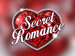 Secret Romance